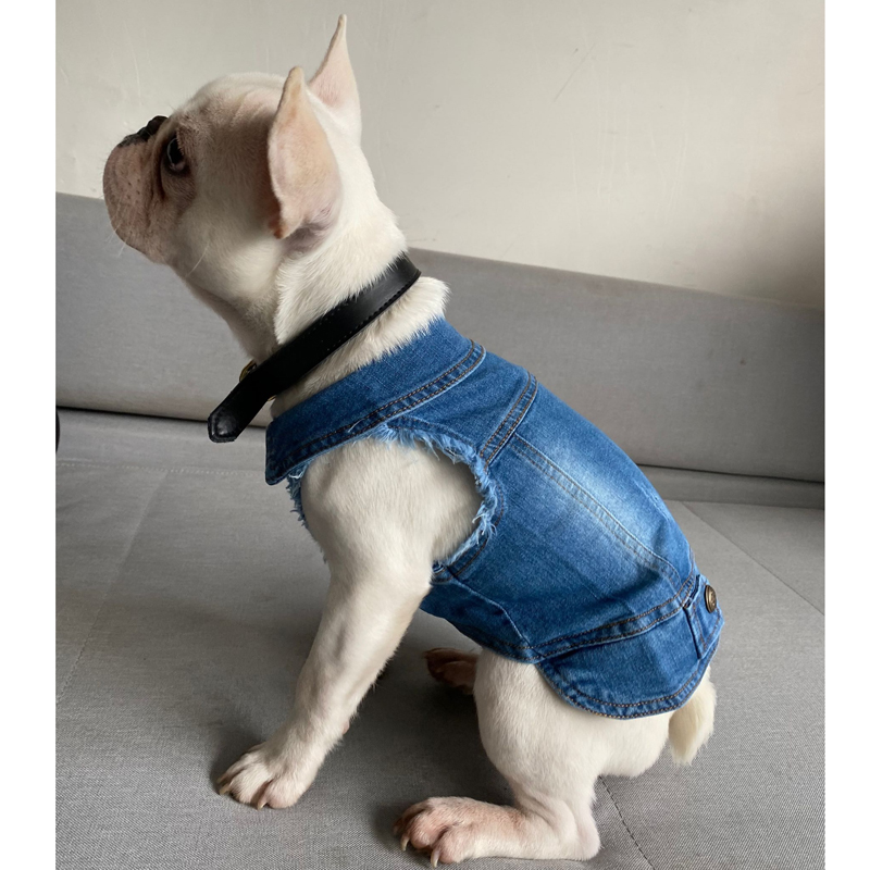 Thú Cưng Denim Áo Cho Chó Mùa  - đánh giá và giá Vintage Fashion Stores